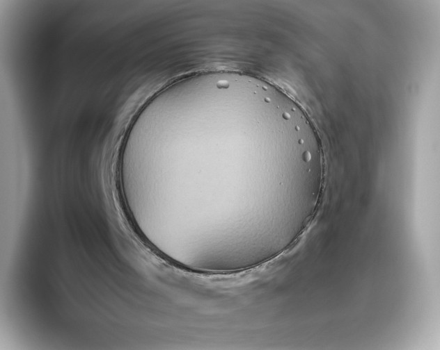 X0000094780001200711301555