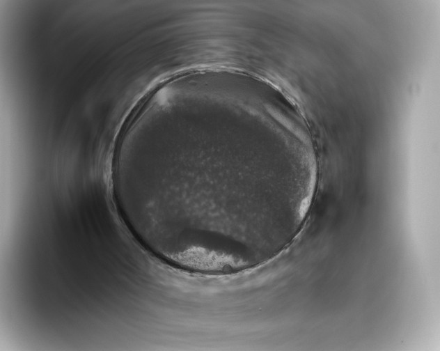 X0000094780002200711301555