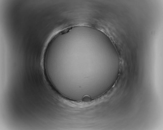 X0000094780006200711301555