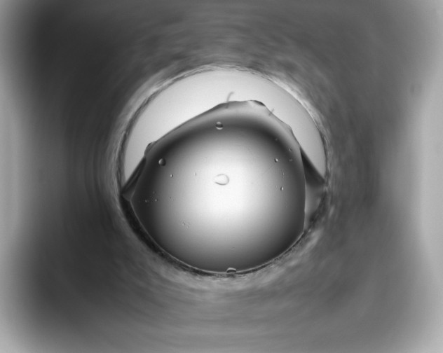 X0000094780007200711301555