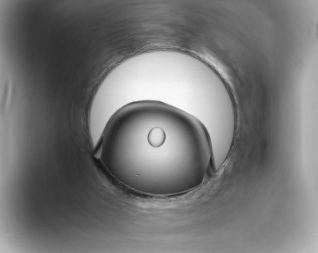 X0000094780009200711301555