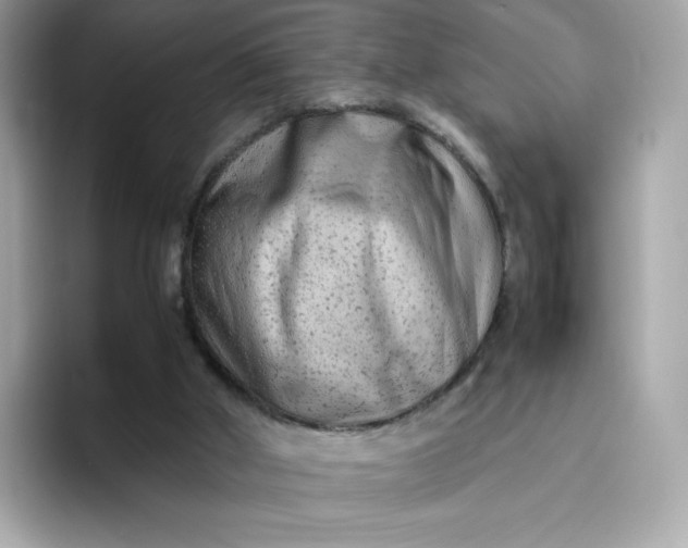 X0000094780010200711301555