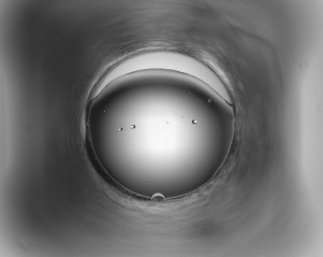 X0000094780011200711301555