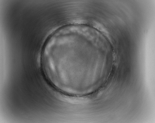 X0000094780012200711301555