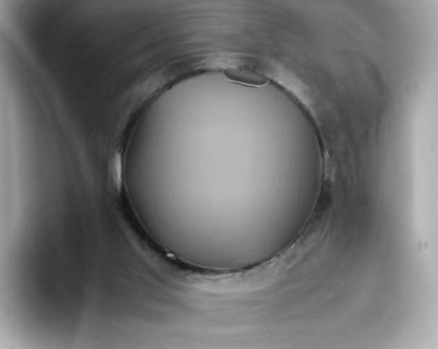 X0000094780013200711301555