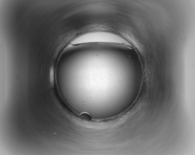 X0000094780014200711301555