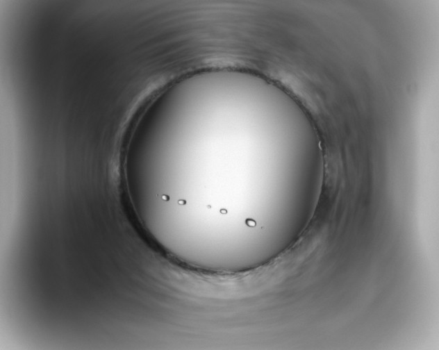 X0000094780015200711301555