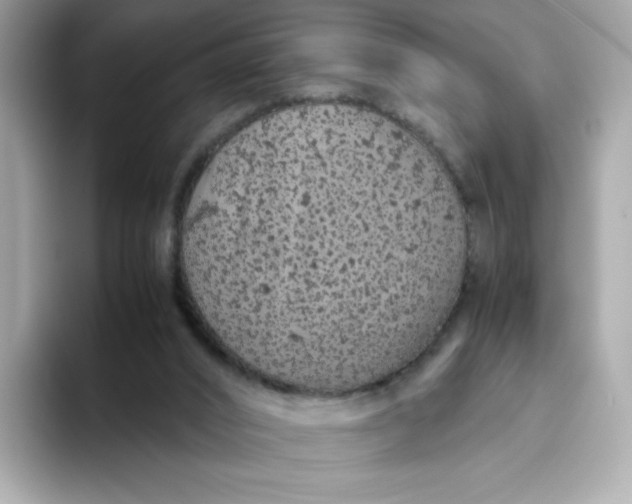 X0000094780016200711301555