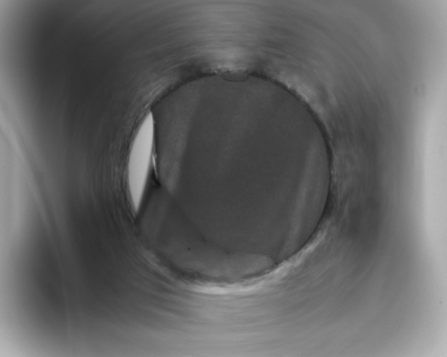 X0000094780017200711301555