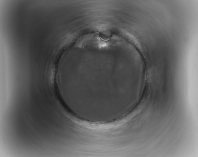 X0000094780018200711301555