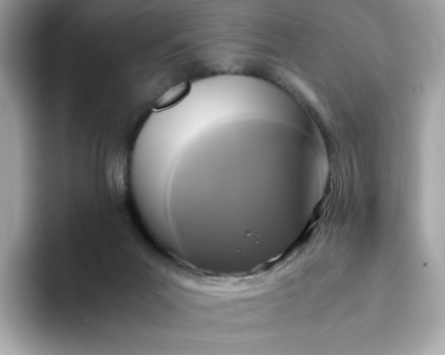 X0000094780023200711301555