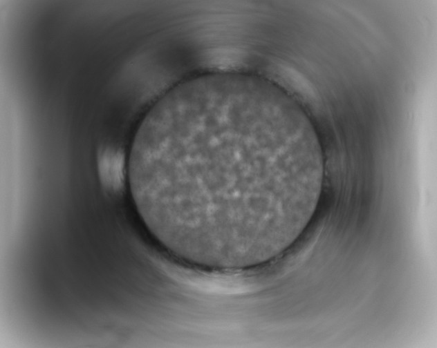 X0000094780024200711301555