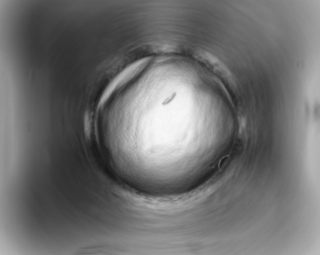 X0000094780026200711301555