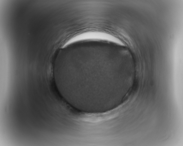 X0000094780029200711301555