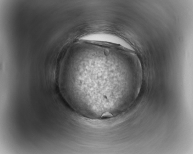 X0000094780030200711301555