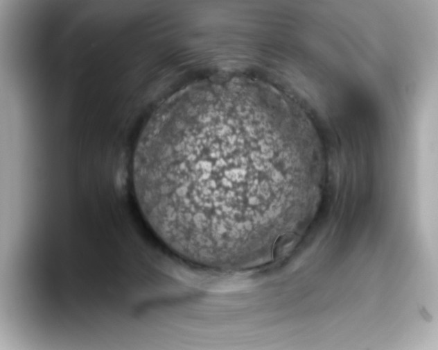 X0000094780032200711301555