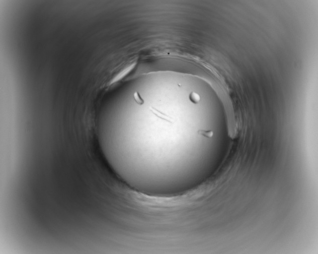 X0000094780034200711301555