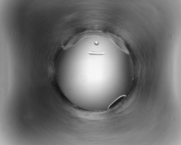 X0000094780040200711301555