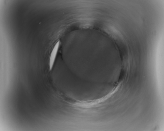 X0000094780041200711301555