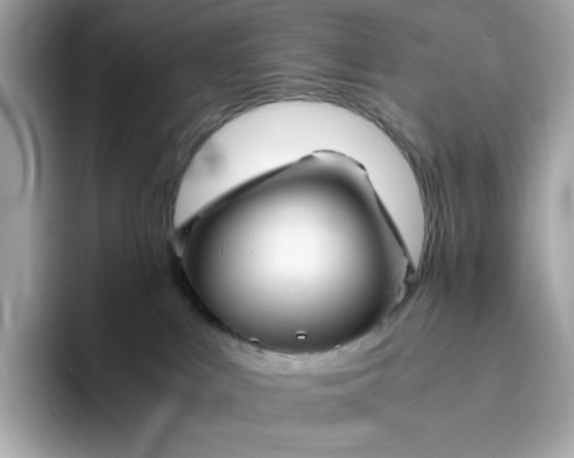 X0000094780043200711301555