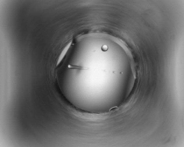 X0000094780044200711301555