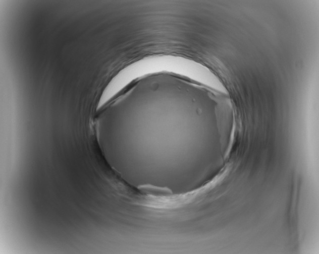 X0000094780045200711301555