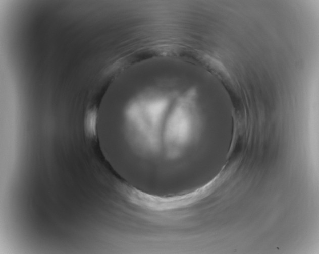 X0000094780047200711301555