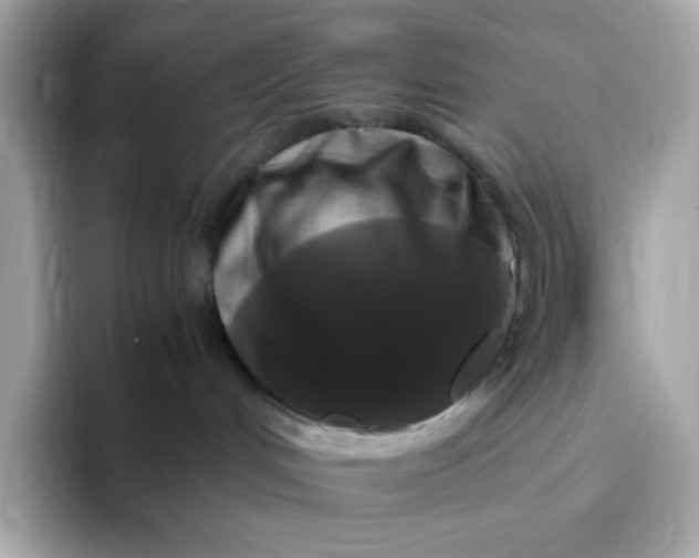 X0000094780048200711301555