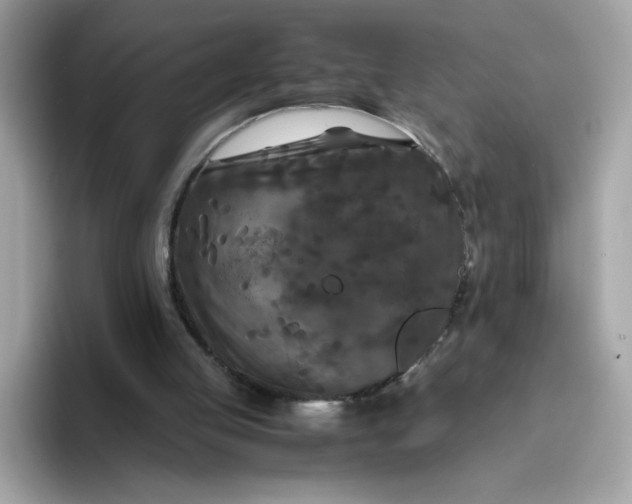 X0000094780053200711301554