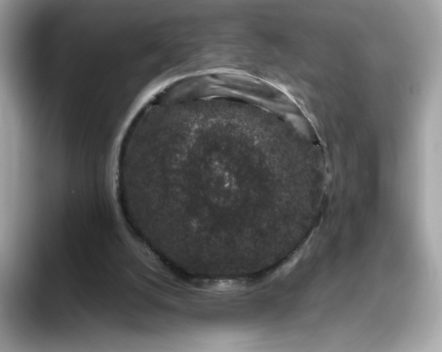 X0000094780056200711301554