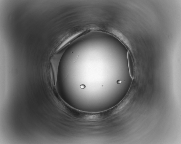 X0000094780057200711301554