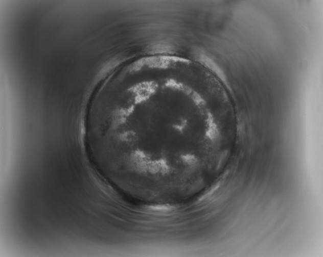 X0000094780059200711301554