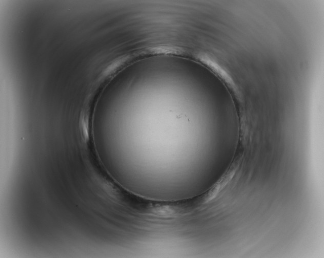 X0000094780062200711301554