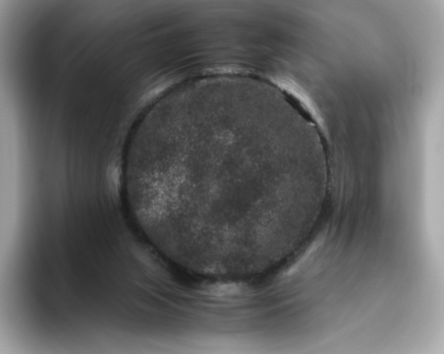 X0000094780063200711301554