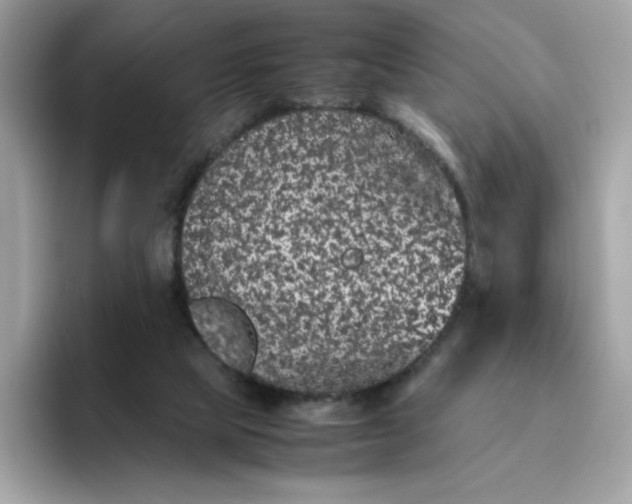 X0000094780065200711301554