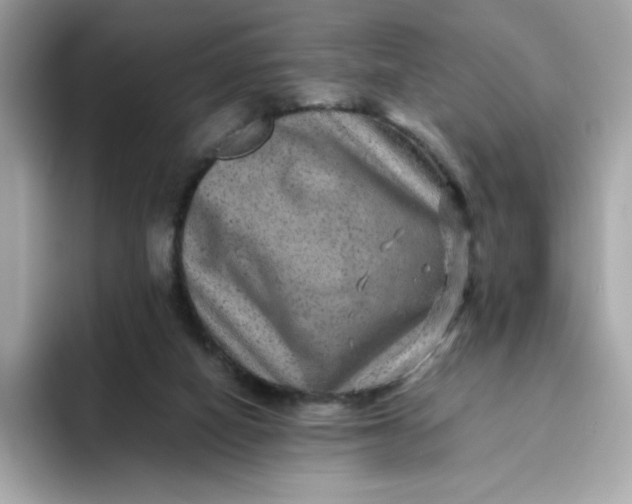 X0000094780066200711301554