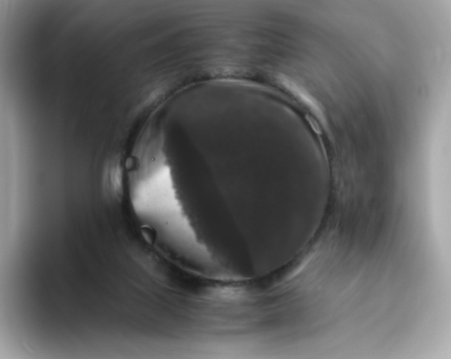 X0000094780067200711301554