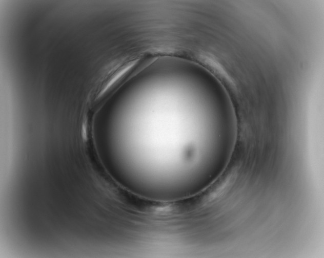 X0000094780068200711301554