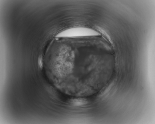 X0000094780069200711301554