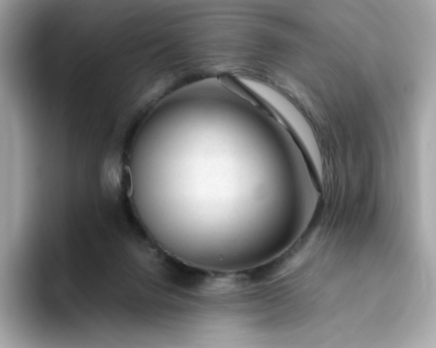 X0000094780072200711301554