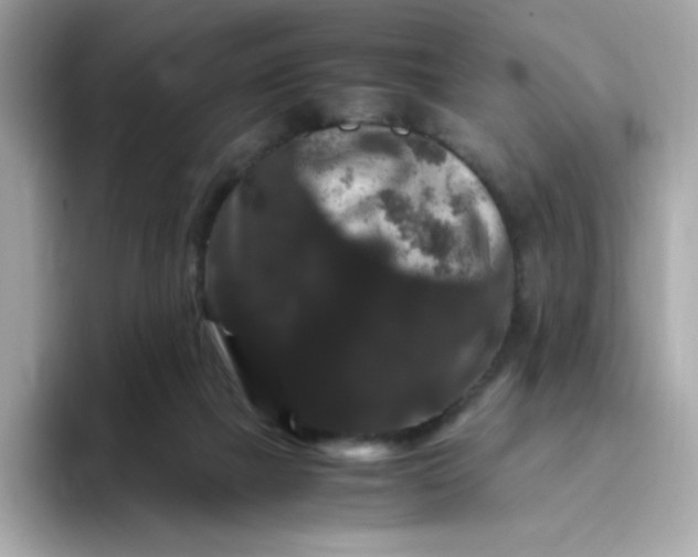 X0000094780073200711301554