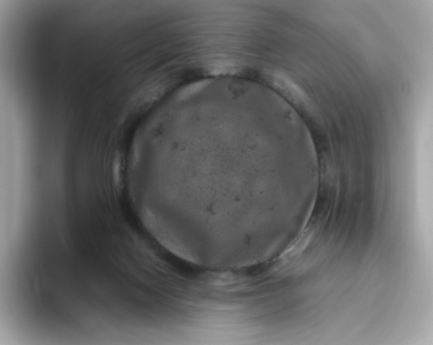 X0000094780074200711301554