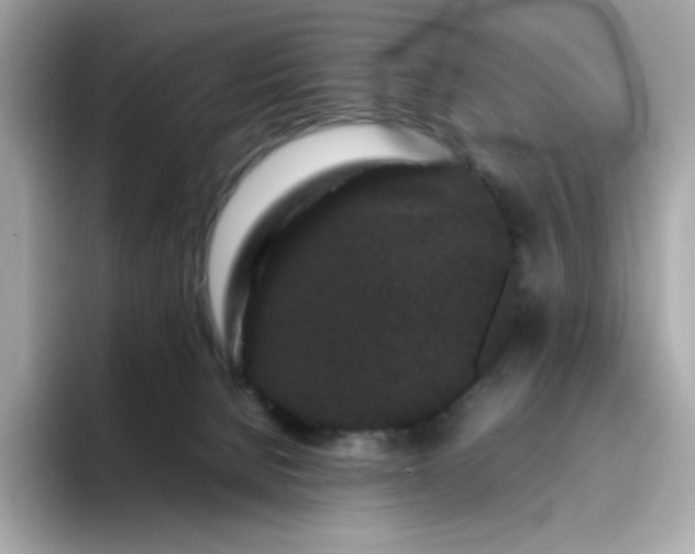 X0000094780080200711301555