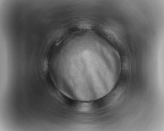 X0000094780081200711301555