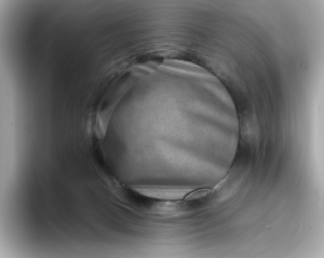 X0000094780082200711301555