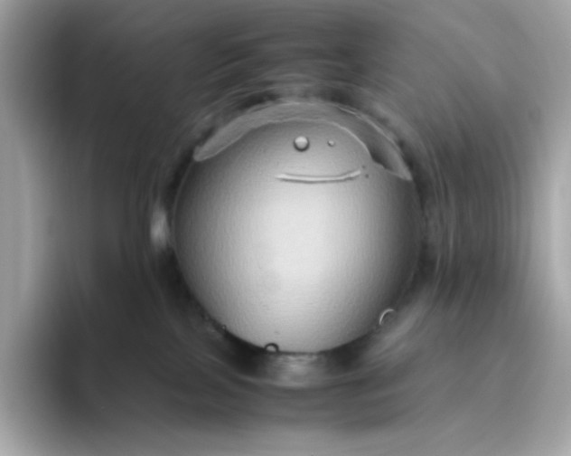 X0000094780089200711301555