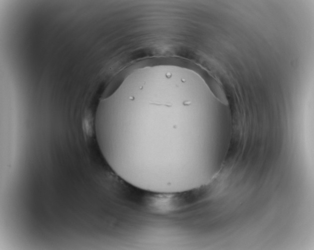 X0000094780090200711301555