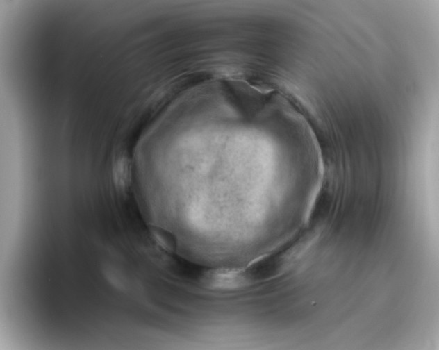 X0000094780093200711301555