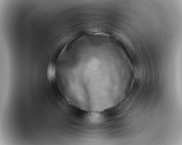 X0000094780095200711301555