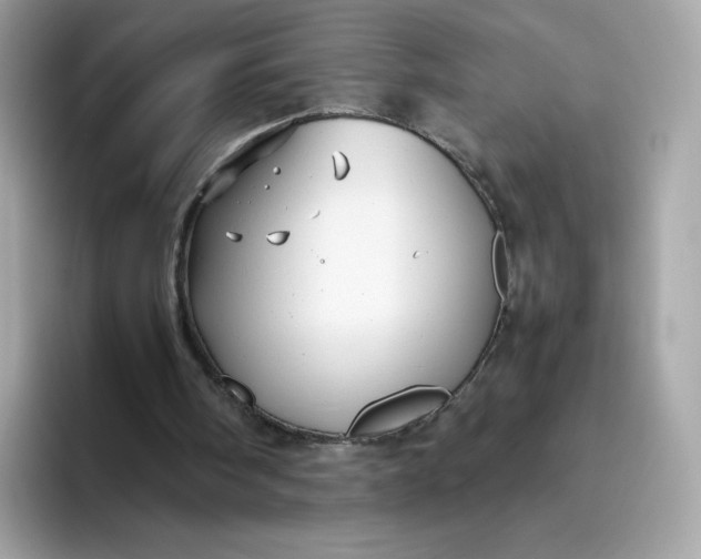 X0000094780098200711301554